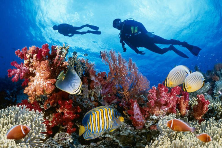 Scuba diver exploring a healthy coral reef while diving in Cuba