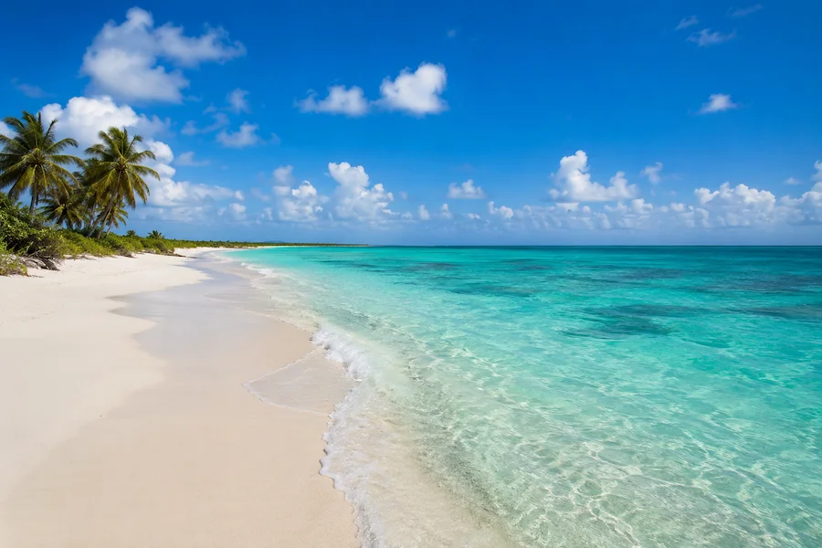 Pristine beach in Cayo Largo del Sur, Cuba, with white sand, turquoise water and palm trees